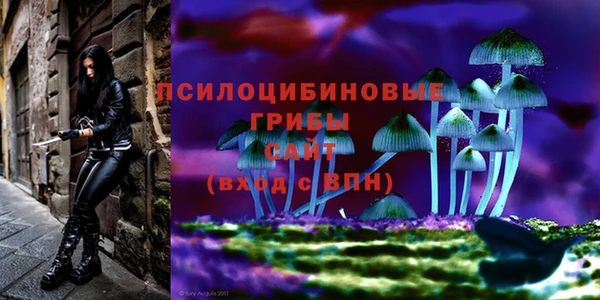 бошки Кинешма