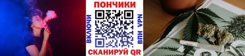 Канабис сатива Купить Великий Устюг